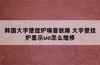 韩国大宇壁挂炉噪音故障 大宇壁挂炉显示uo怎么维修